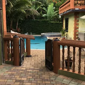 Hidden Oasis In Mandeville